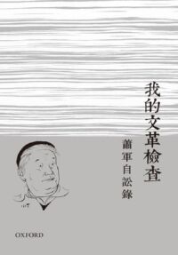 我的文革檢查 封面