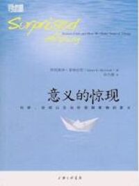 意義的驚現（簡體字） 封面