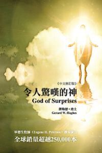 令人驚嘆的神 封面