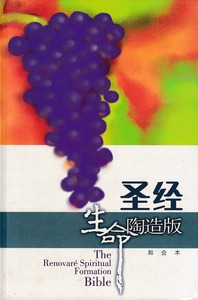聖經．生命陶造版：和合本（硬面白邊；簡體） 封面