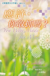 應許，你敢抓嗎？ 封面
