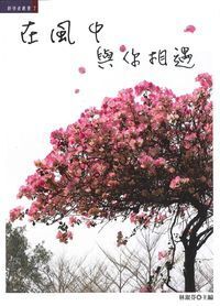 在風中與你相遇 封面