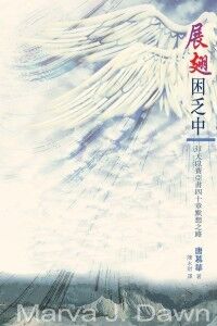 展翅困乏中：31天以賽亞書四十章默想之路 封面