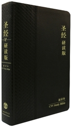 聖經研讀版．新譯本．加大裝．黑色仿皮白邊．宗教改革500週年紀念版．神字版．L24SS01J（簡體字） 封面