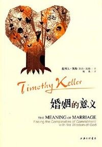 婚姻的意義（簡體字） 封面