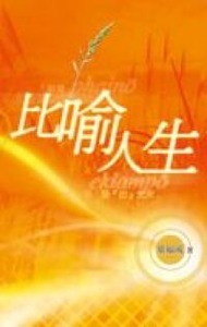 比喻人生 封面