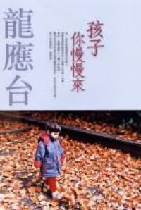 孩子你慢慢來 封面