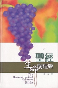 聖經.生命陶造版:和合本(輕便本) 封面