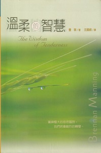 溫柔的智慧 封面