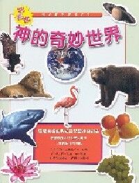 神的奇妙世界：好好玩貼紙書系列 封面