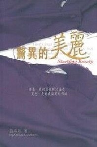 驚異的美麗 封面