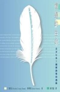 懷道的生命：青少年事工屬靈指導的藝術 封面