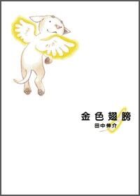 金色翅膀 封面