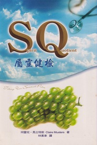 SQ屬靈健檢 封面