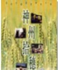 神州拾穗：我在中國經歷神的大能 封面