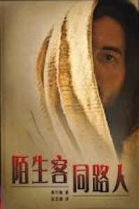 陌生客同路人 封面