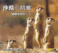 沙漠小精靈：貓鼬家族的一天 封面