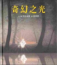 奇幻之光 封面