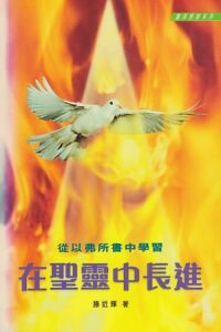 在聖靈中長進：從以弗所書中學習 封面