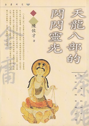天龍八部的閃閃靈光 封面