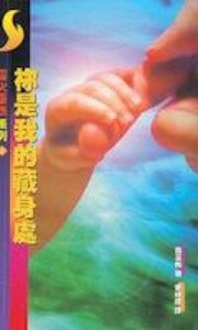 你是我的藏身處 封面