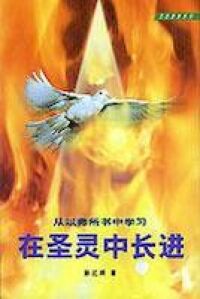 在聖靈中長進（簡體字） 封面