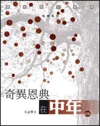 奇異恩典在中年 封面