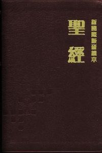 新國際版研讀本聖經（豪華本）   （紅） 封面
