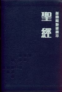 新國際版研讀本聖經（豪華本）（藍） 封面