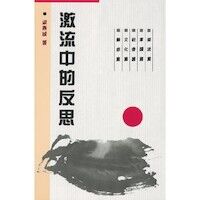 激流中的反思 封面