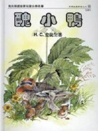醜小鴨 封面