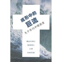 成形中的巨流：九十年代中國教會 封面