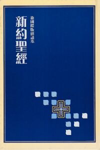 新約聖經．新國際版研讀本（串珠硬面精裝） 封面