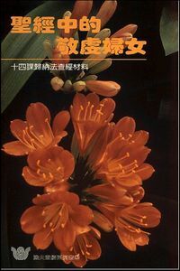 聖經中的敬虔婦女——十四課歸納法查經材料 封面