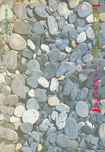 傾倒至死：祈禱使徒海德 封面