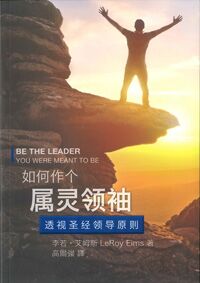 如何作個屬靈領袖(簡體) 封面