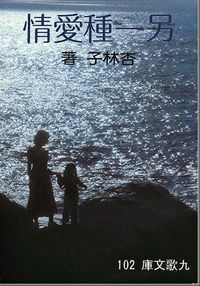 另一種愛情 封面