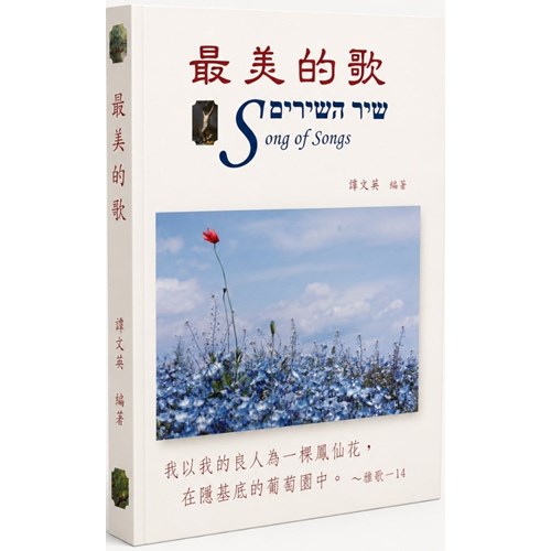 最美的歌 封面