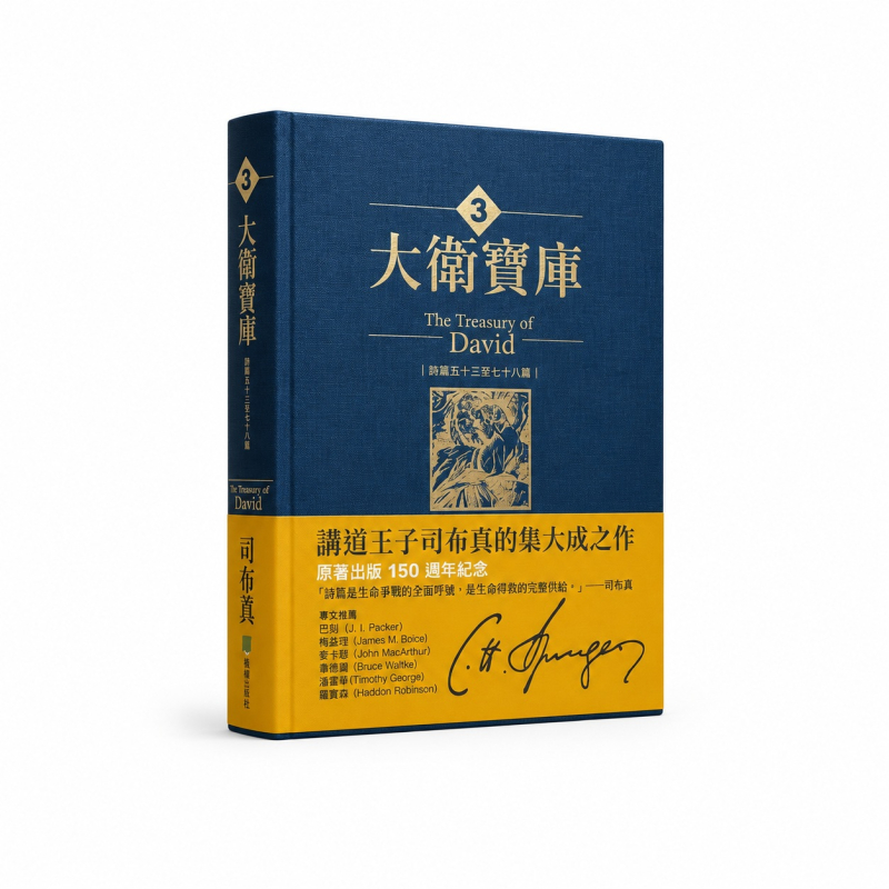 大衛寶庫(3)-詩篇五十三至七十八篇 封面