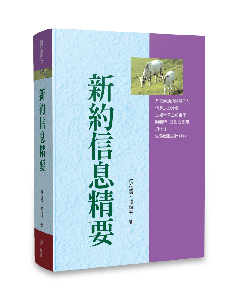 新約信息精要(POD) 封面