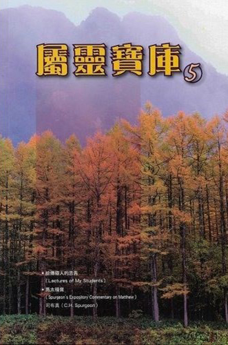 屬靈寶庫5(POD) 封面