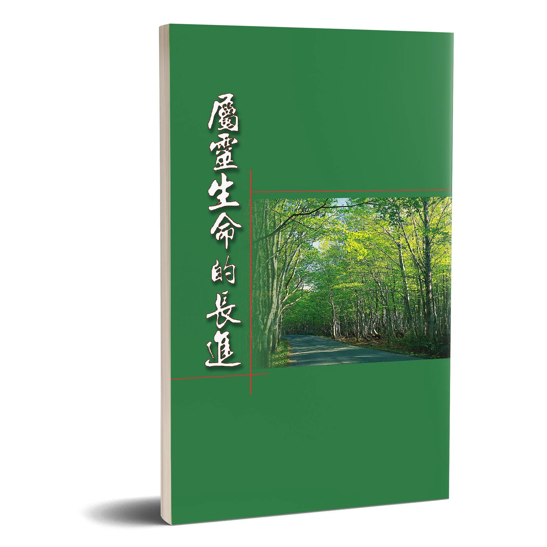 屬靈生命的長進 封面