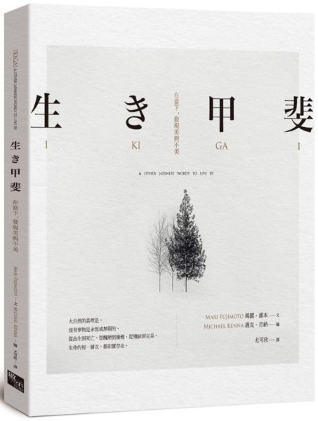 生き甲斐：在當下，發現美與不美 封面