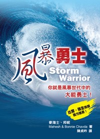 風暴勇士--你就是風暴世代中的大能勇士 封面