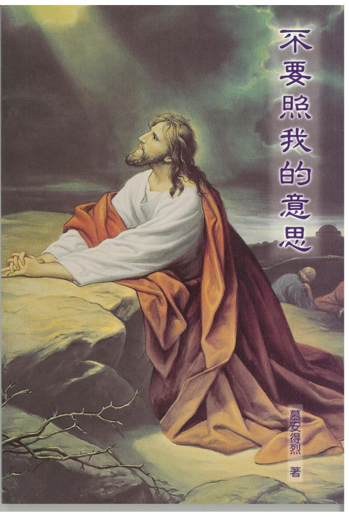 不要照我的意思 封面