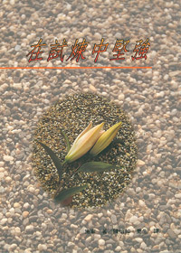 在試煉中堅強-靈命進深叢書31 封面