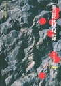 聖經特攻隊:天差安得烈 封面