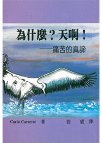 為什麼?天啊!-痛苦的真諦 封面