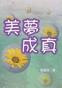 美夢成真 封面