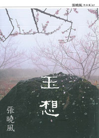 玉想 封面